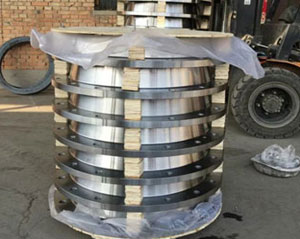 Galvanized Iron Pipe Flange
